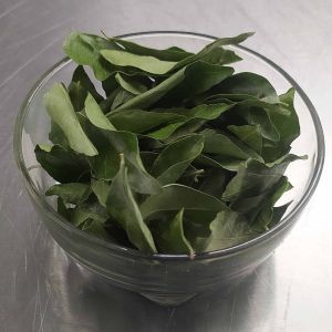 Frozen Curry Leaves