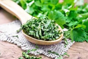 Frozen Dried Green Coriander