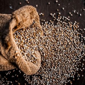 Rasveda Bajra Millets