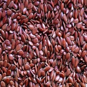 Rasveda Flex Seeds