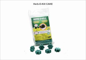 Herbal Rat Cake