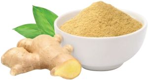Authentic Ginger Powder