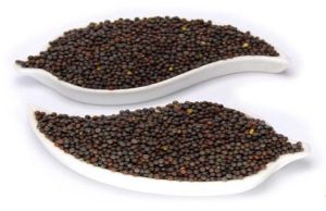 Natural Mustard Seeds