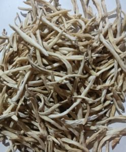 Safed Musli Roots