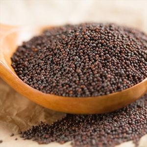 A Grade Black Mustard Seeds