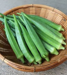 A Grade Green Fresh Lady Finger
