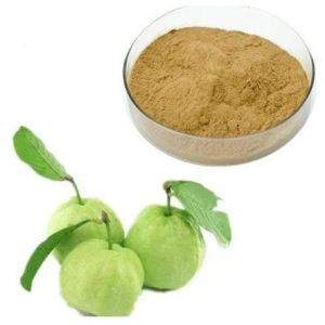 Guava Extract Powder