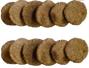 Cow Dung Cakes