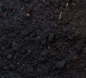 Organic Vermicompost Fertilizer