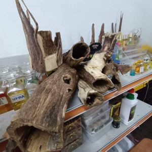 Agarwood Incense Chips