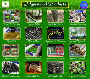 ProveN1 Natural Agarwood Inoculum