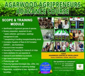 ProveN1 Natural Agarwood Inoculum