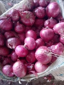 Fresh Red Onion