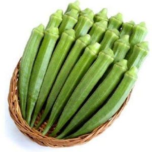 Indus-7 Okra Seeds