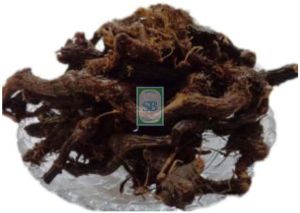 Nagarmotha Roots