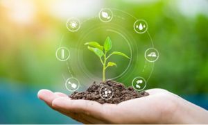 Agri Advisory and Consulting Services