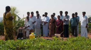 Training and Skill Development Services