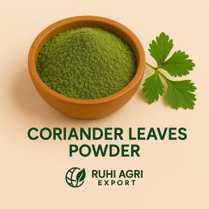 Dehydrated Coriander Leaves Powder