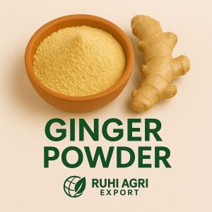 Dehydrated Ginger Powder