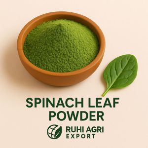 Dehydrated Spinach Leaves Powder