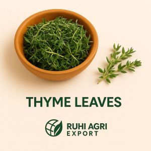 Dry Thyme Leaves