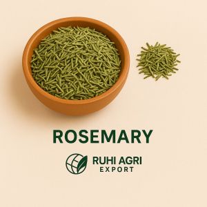 Green Rosemary Dry Leaves
