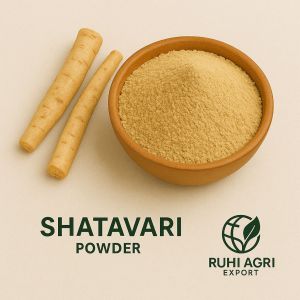 Shatavari Powder