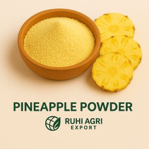 Spray Dried Pineapple Powder