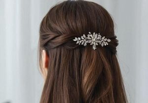Ladies Party Wear Hair Clips