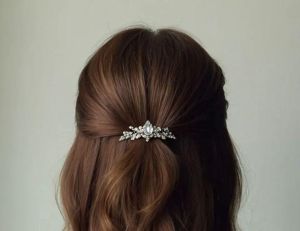 Ladies Party Wear Hair Clips