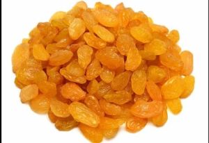 Dried Golden Raisin