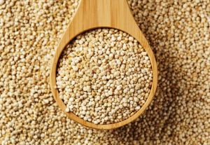 Indian Organic White Quinoa Seeds