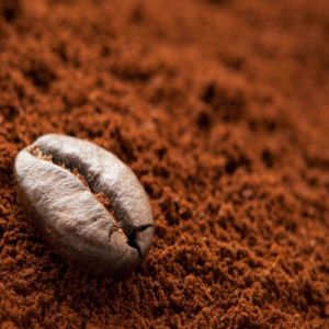 Premium Indian Filter Coffee Powder