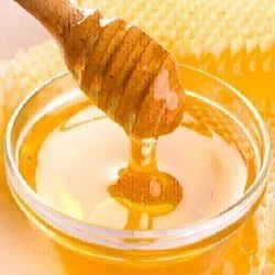 Pure Organic Honey