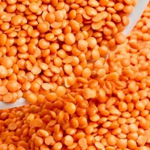 Red Split Lentils