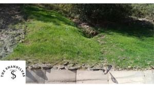 Hydroseeding Services