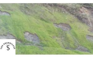 Hydroseeding Services