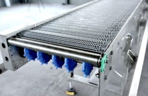 Stainless Steel Automated Conveyor