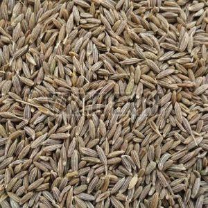 Cumin Seeds