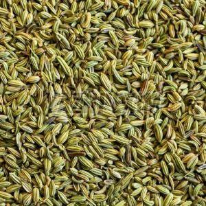Fennel Seeds