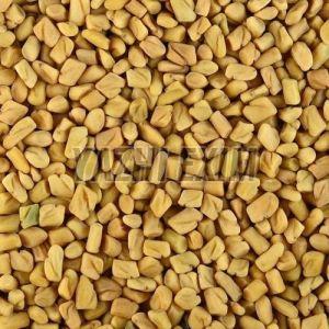 Fenugreek Seeds