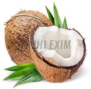 Fresh Coconut