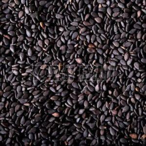 Sesame Seeds