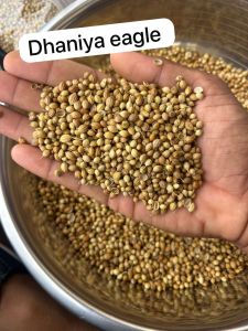 coriander seeds