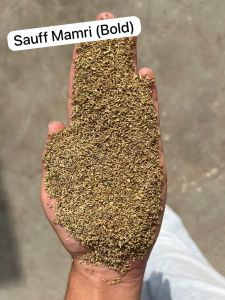 Sauf Mamri
