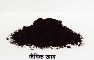 Organic Cow Dung Manure