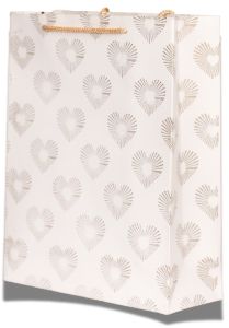 Designer Paper Gift Bag