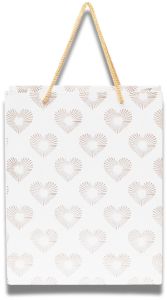 Designer Paper Gift Bag