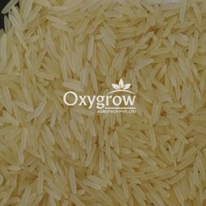 1121 Golden Sella Basmati Rice