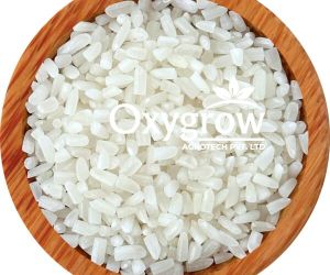 IR64 100% Broken Raw Non Basmati Rice